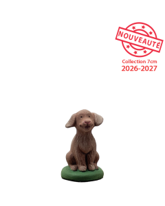 Puppy - Raw