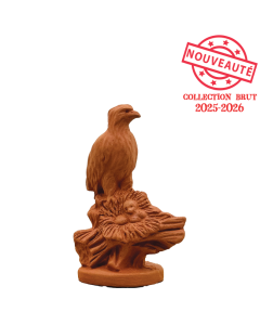 Bonelli's Eagle - RAW