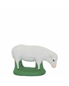 Sheep grazing - 9CM