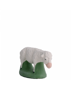 Sheep grazing - 7CM