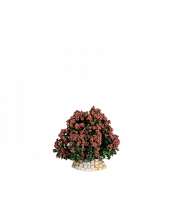 Buisson rouge - Décor