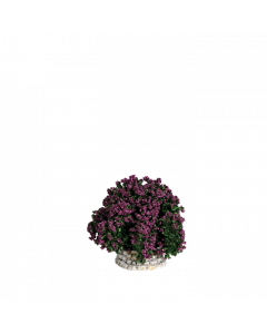 Buisson lilas - Décor