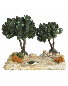 Field of olive trees - Decor