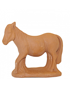 Camargue horse - Raw