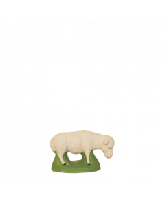 Sheep grazing - 5CM