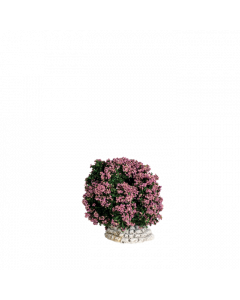 Pink bush - Ornament