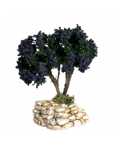 Lavender tree - Picture