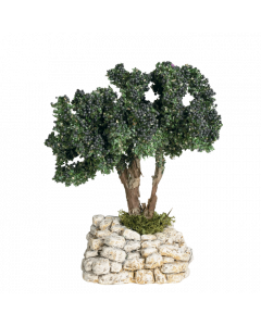 Olive tree - Decor