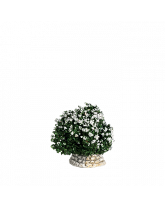 White bush - Ornament