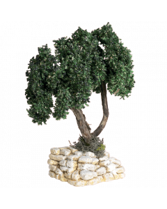 Olive tree N°4 - Decor