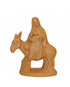 Pregnant Mary on a donkey - Raw