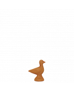 Canard - BRUT