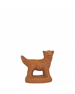 Chien - BRUT