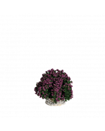 Buisson lilas - Décor