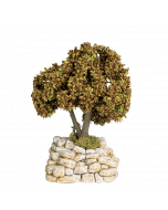 Platane d'automne - Décor