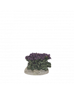 Pied de lavande - Décor