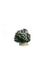Buisson blanc - Décor