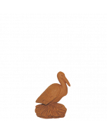 Cigogne - BRUT