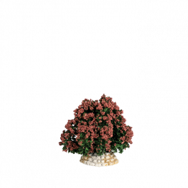 Red bush, decor for crib figures | Santons Escoffier